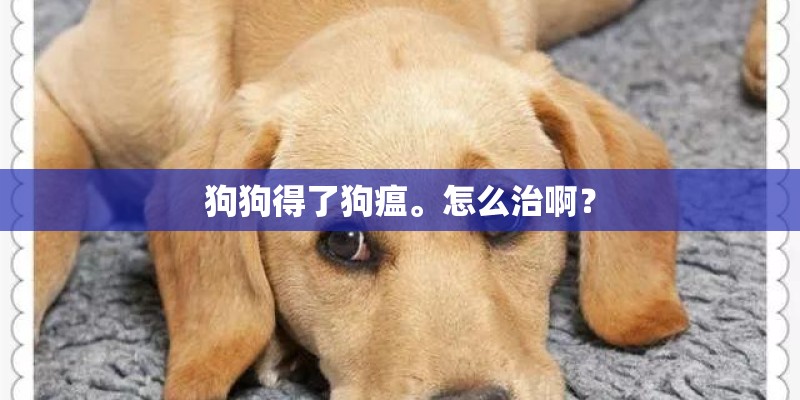 狗狗得了狗瘟。怎么治啊？
