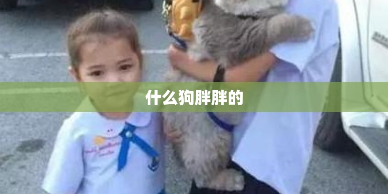 什么狗胖胖的