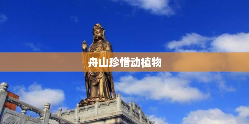舟山珍惜动植物