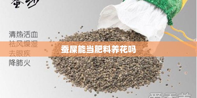 蚕屎能当肥料养花吗