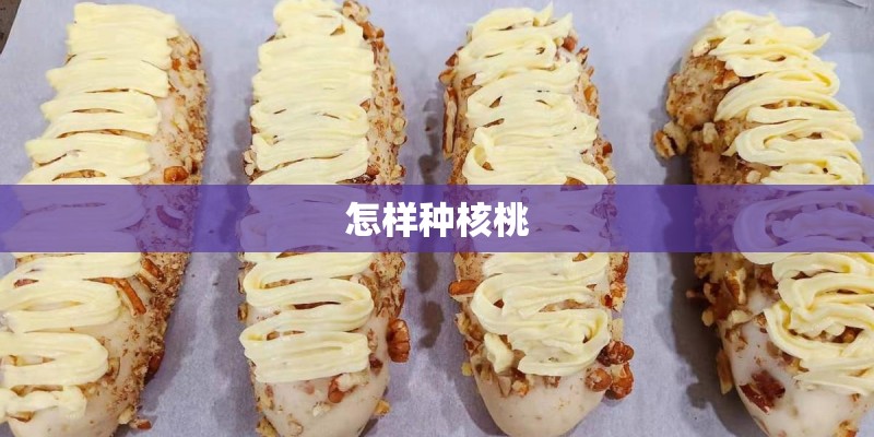 怎样种核桃