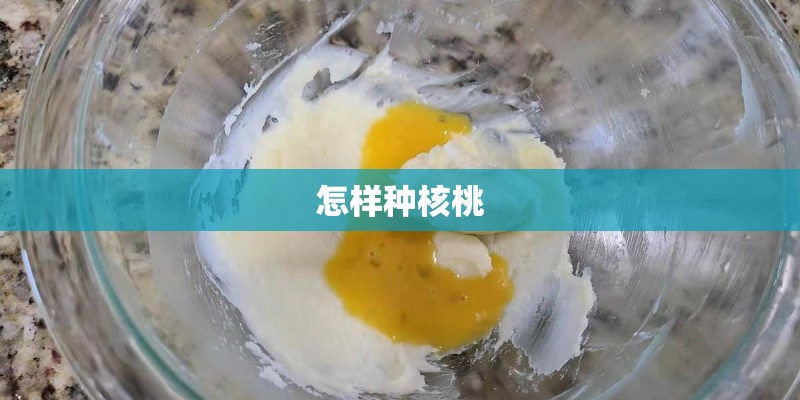 怎样种核桃