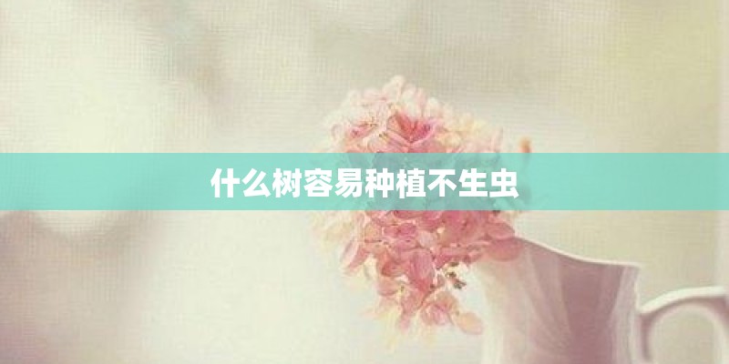 什么树容易种植不生虫