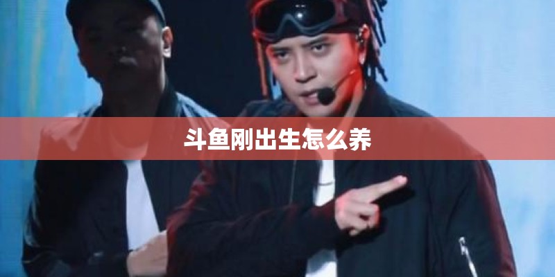 斗鱼刚出生怎么养