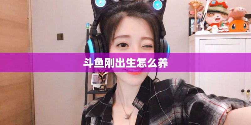 斗鱼刚出生怎么养