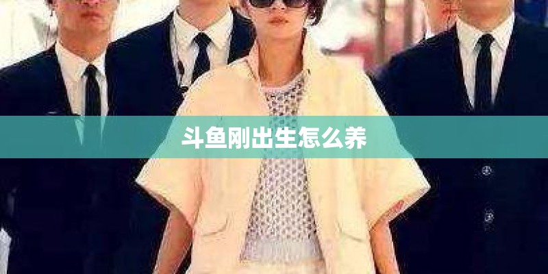 斗鱼刚出生怎么养