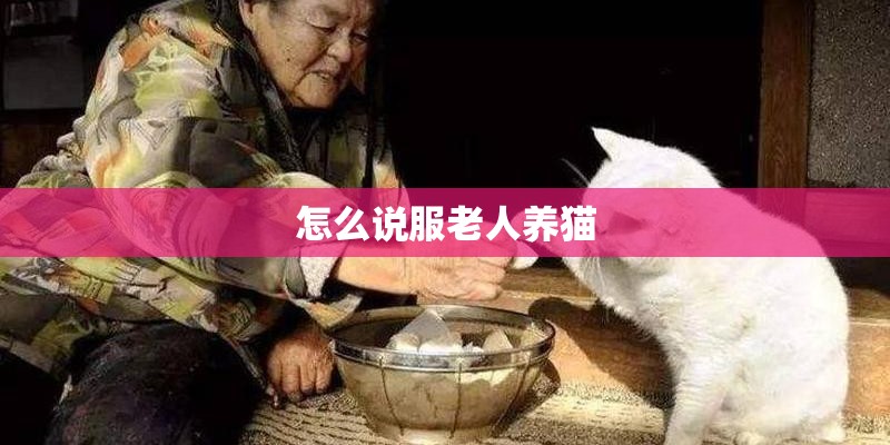 怎么说服老人养猫