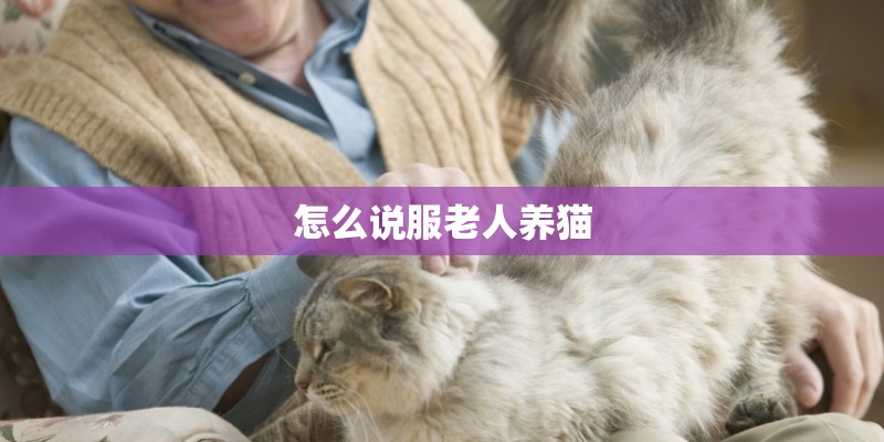 怎么说服老人养猫