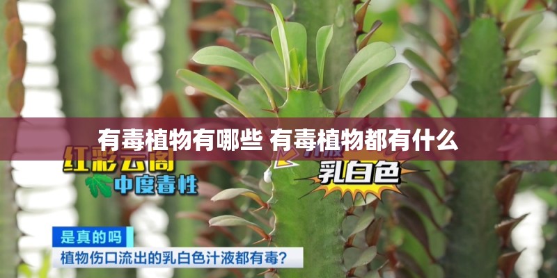 有毒植物有哪些 有毒植物都有什么