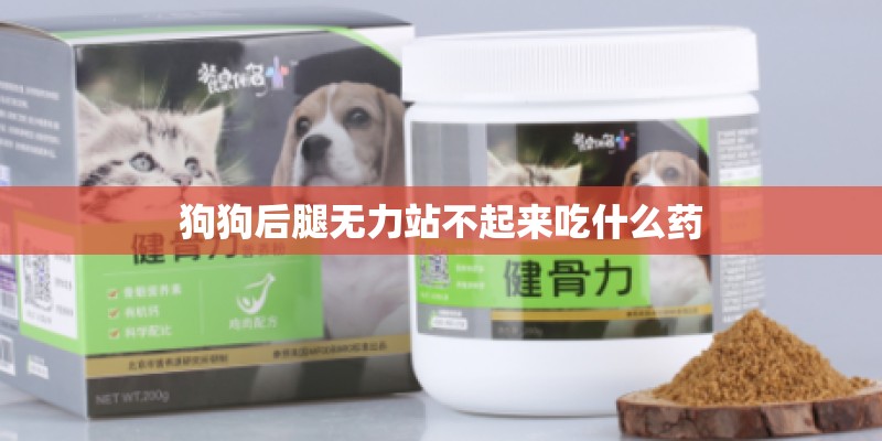 狗狗后腿无力站不起来吃什么药
