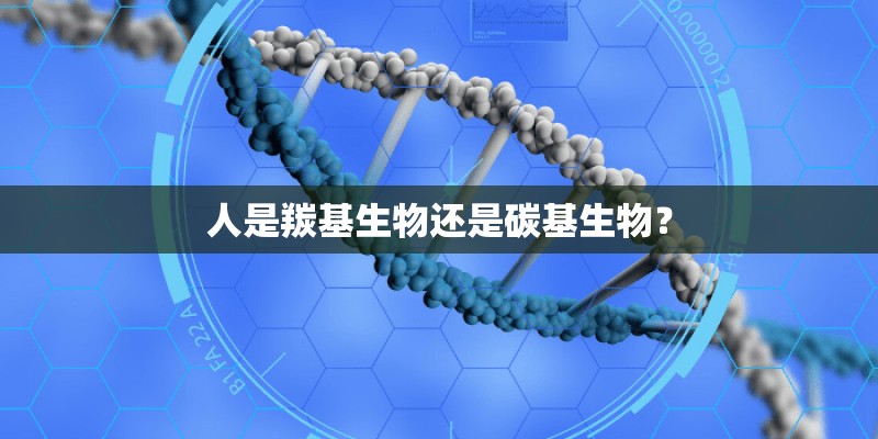 人是羰基生物还是碳基生物？