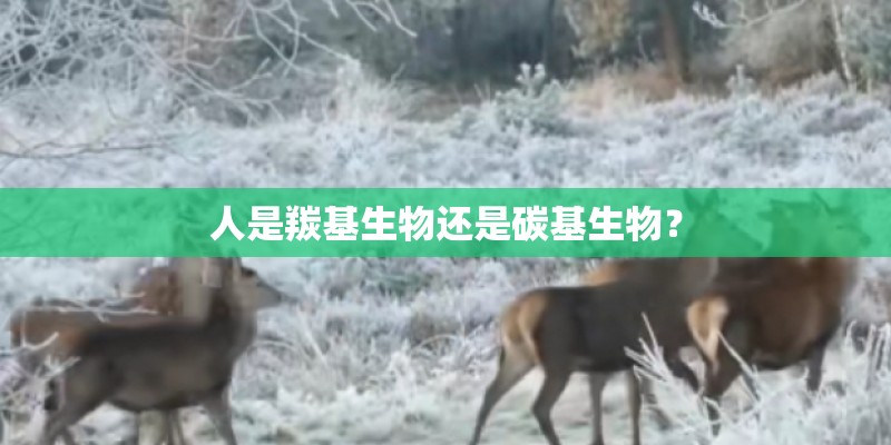 人是羰基生物还是碳基生物？