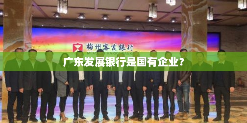 广东发展银行是国有企业？