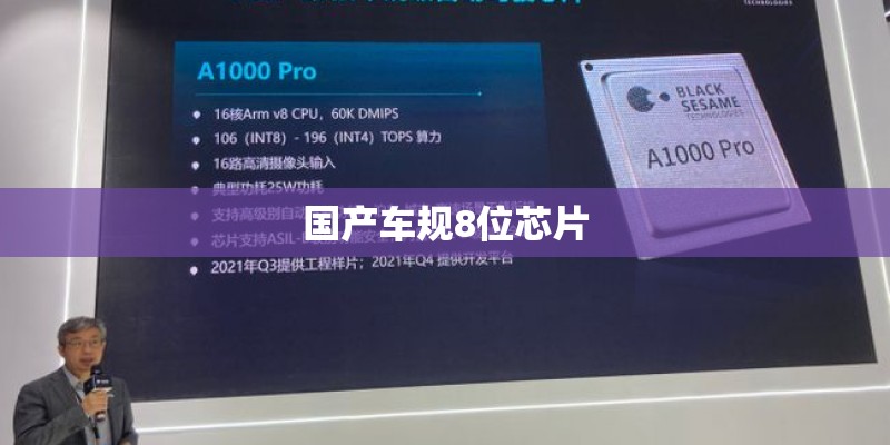 国产车规8位芯片