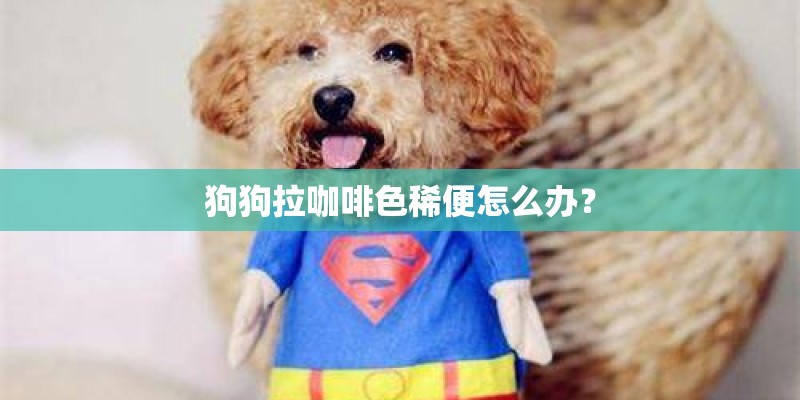 狗狗拉咖啡色稀便怎么办？