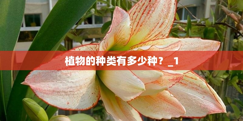 植物的种类有多少种？_1