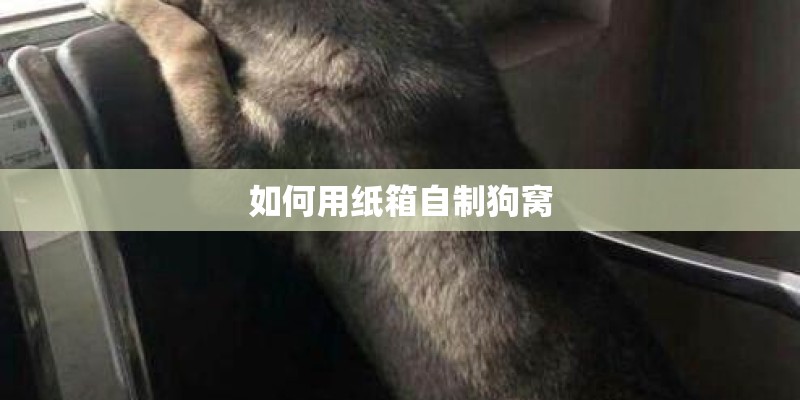 如何用纸箱自制狗窝