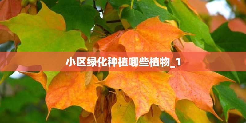 小区绿化种植哪些植物_1