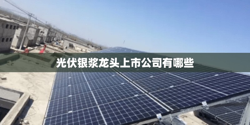 光伏银浆龙头上市公司有哪些