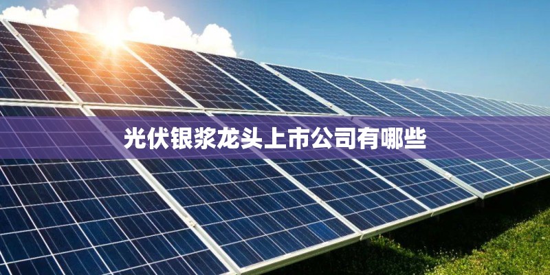 光伏银浆龙头上市公司有哪些