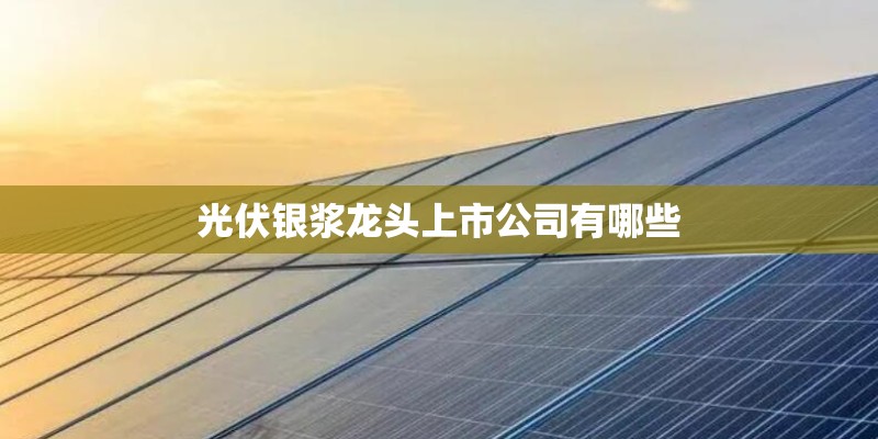 光伏银浆龙头上市公司有哪些