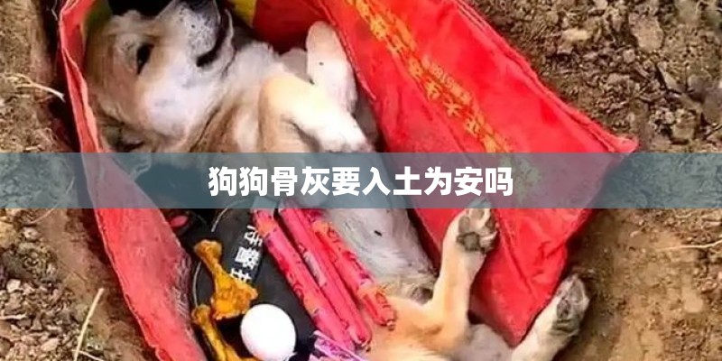 狗狗骨灰要入土为安吗