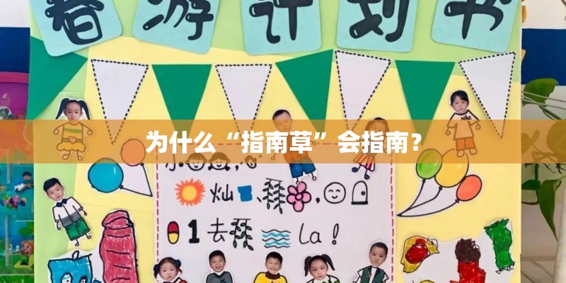 为什么“指南草”会指南？
