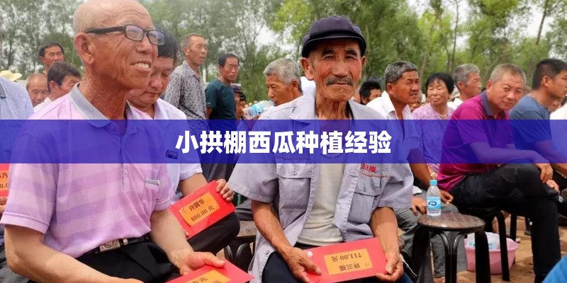小拱棚西瓜种植经验