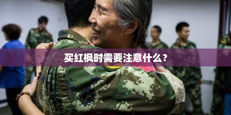 买红枫时需要注意什么？