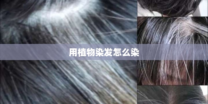 用植物染发怎么染