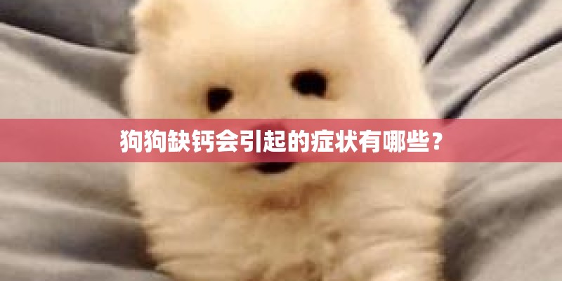 狗狗缺钙会引起的症状有哪些？