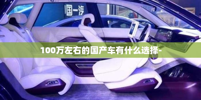 100万左右的国产车有什么选择-