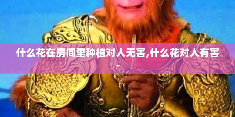 什么花在房间里种植对人无害,什么花对人有害-