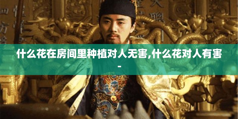 什么花在房间里种植对人无害,什么花对人有害-