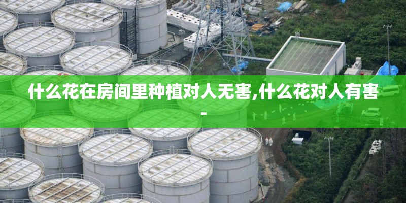 什么花在房间里种植对人无害,什么花对人有害-