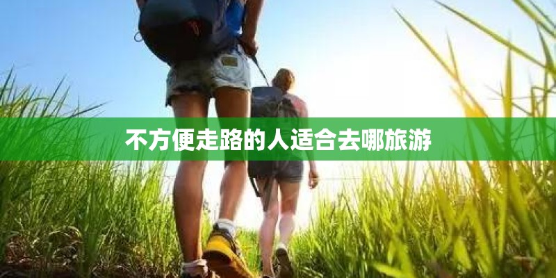 不方便走路的人适合去哪旅游
