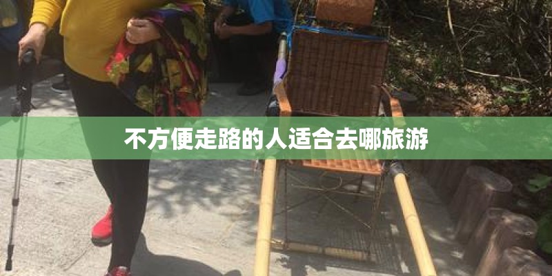 不方便走路的人适合去哪旅游