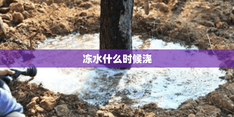 冻水什么时候浇