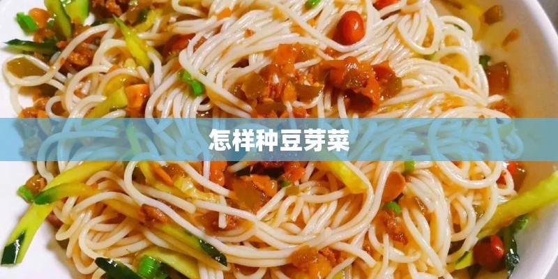 怎样种豆芽菜