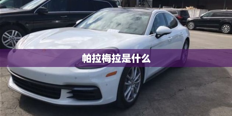 帕拉梅拉是什么