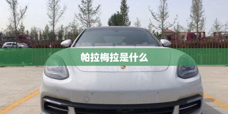 帕拉梅拉是什么
