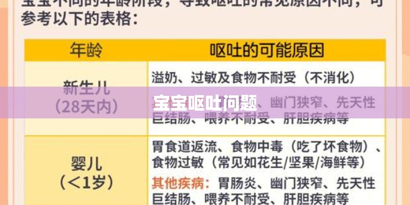 宝宝呕吐问题