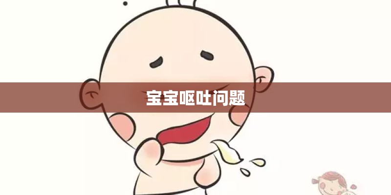 宝宝呕吐问题