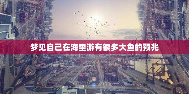 梦见自己在海里游有很多大鱼的预兆