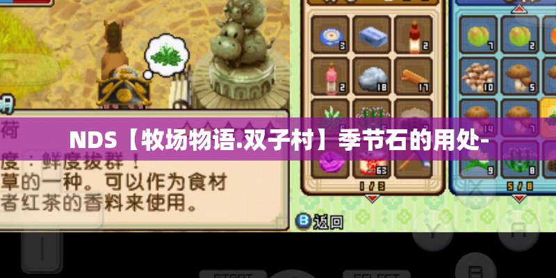 NDS【牧场物语.双子村】季节石的用处-