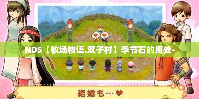 NDS【牧场物语.双子村】季节石的用处-