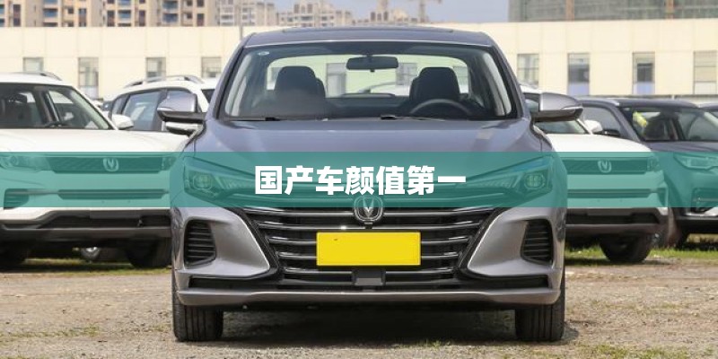 国产车颜值第一