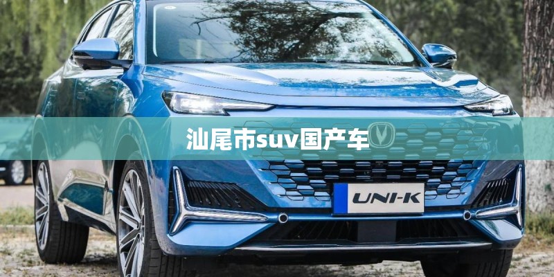 汕尾市suv国产车