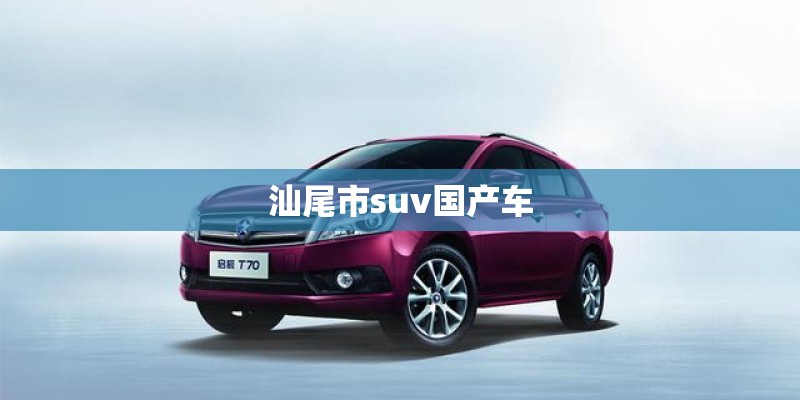 汕尾市suv国产车