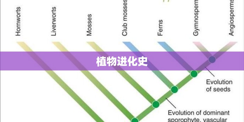 植物进化史